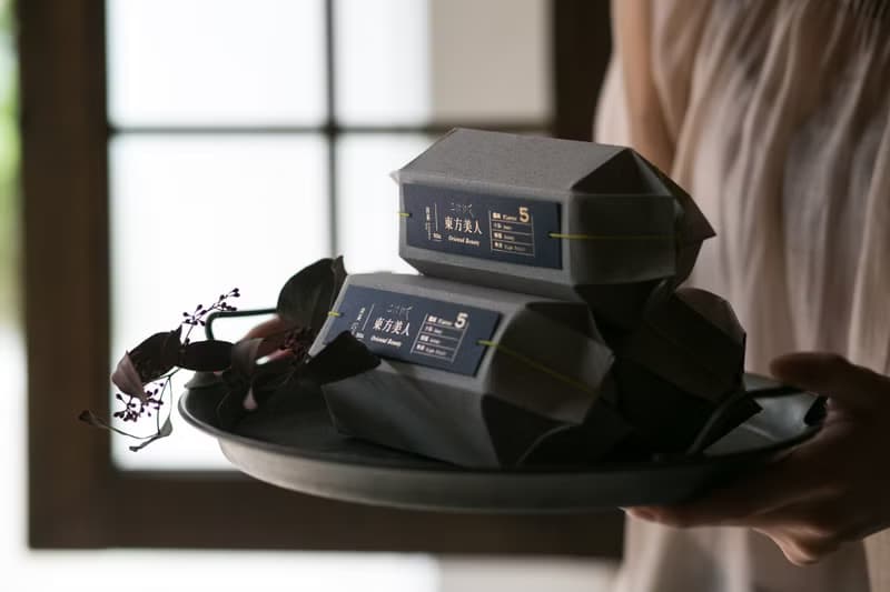 烏龍茶│高山金萱