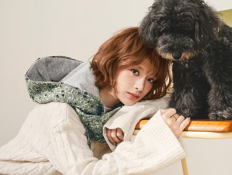 AMBER 系列 - 琥光* 綠色 混織毛料 圍巾 連帽圍巾