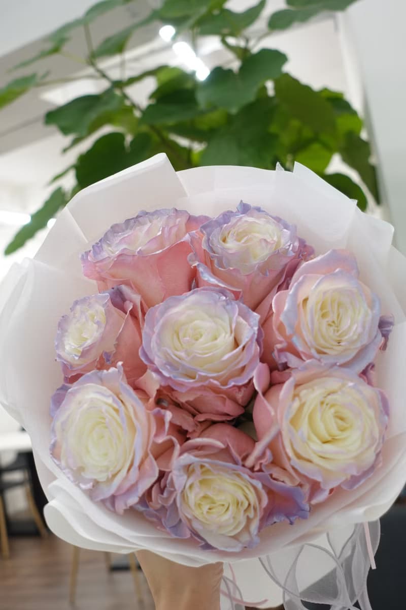 2025情人節 玫瑰花束 極光玫瑰 生日花束 求婚紀念日花束