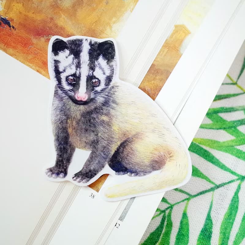 臺灣特有亞種 臺灣白鼻心 繪畫PVC防水大貼紙