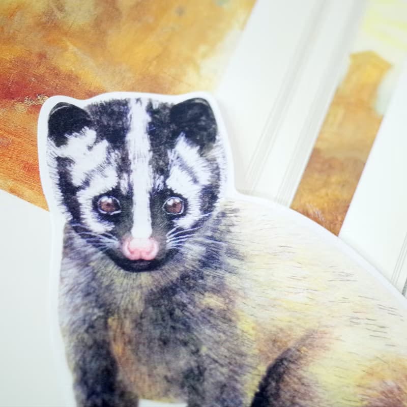 臺灣特有亞種 臺灣白鼻心 繪畫PVC防水大貼紙