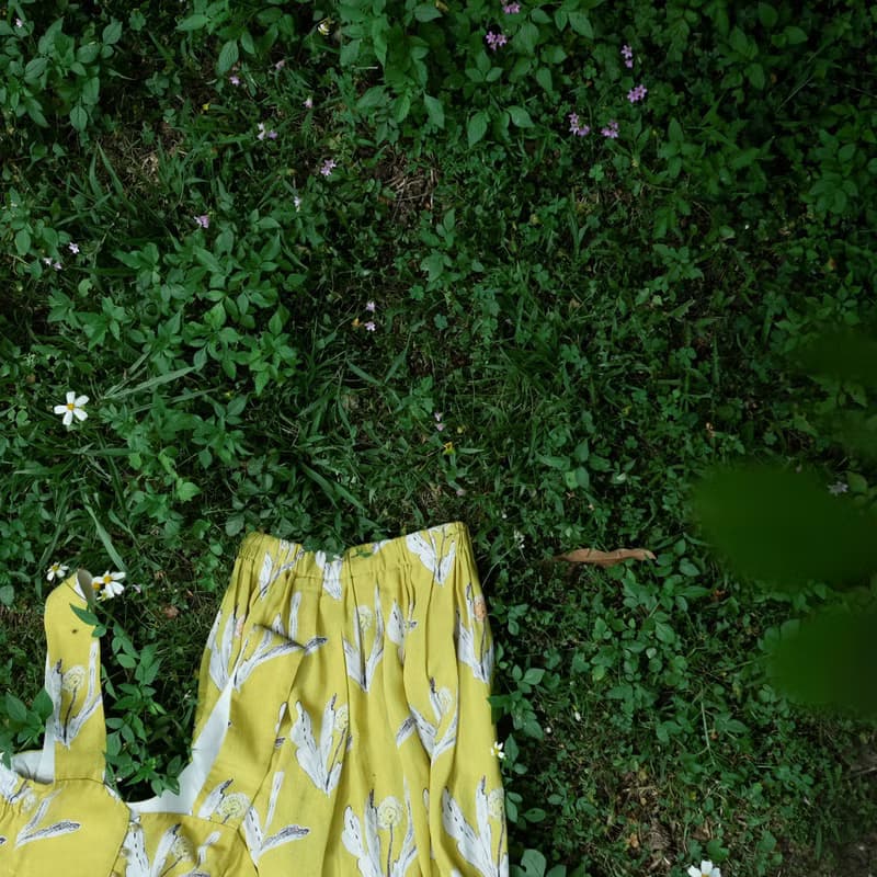 黃色的花與花