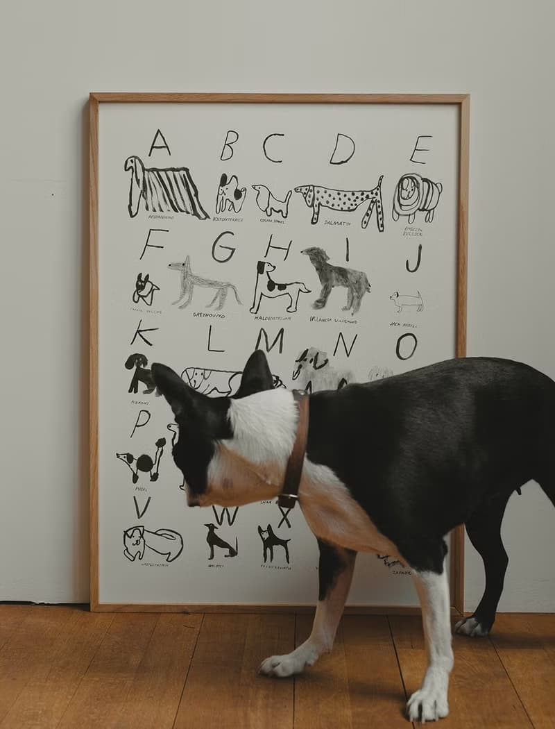 Freja Erixån - 瑞典藝術家設計海報 ABC DOGS POSTER