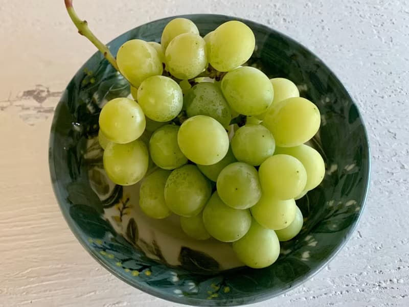 尤加利恩典圓盤_陶器餐盤