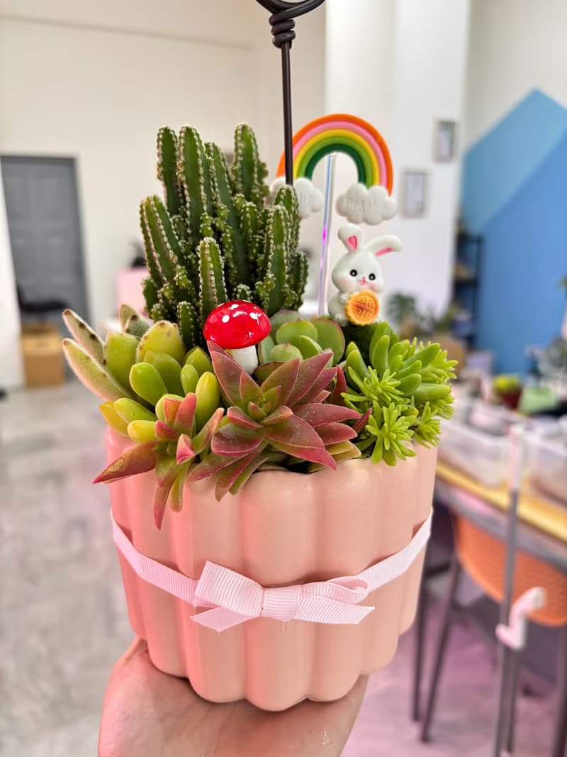 粉色可麗露造型多肉組盆 開幕誌慶 新居落成 交換禮物