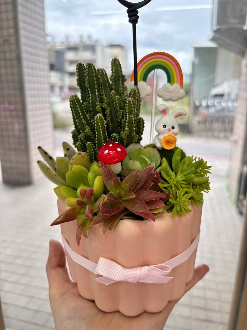 粉色可麗露造型多肉組盆 開幕誌慶 新居落成 交換禮物