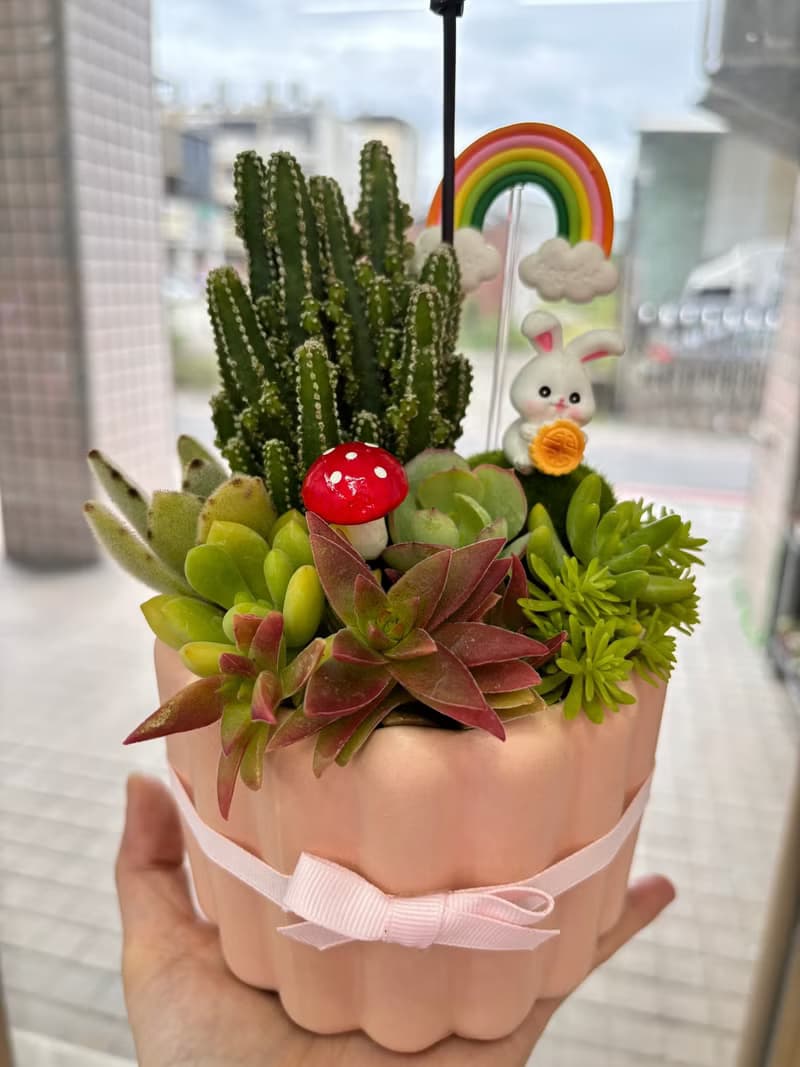 粉色可麗露造型多肉組盆 開幕誌慶 新居落成 交換禮物