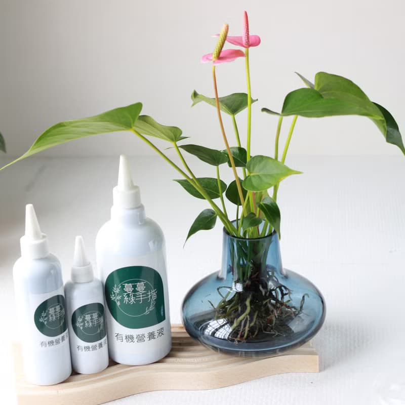 水培植栽│有機營養液(盆栽專用)