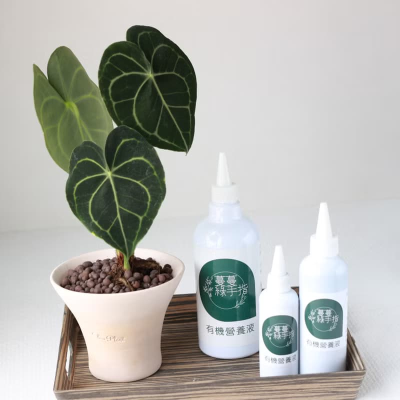 水培植栽│有機營養液(盆栽專用)