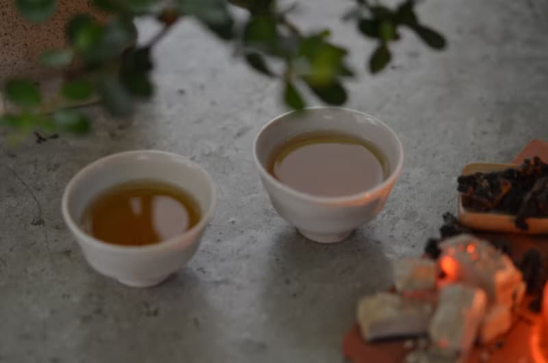 高山鐵觀音 (春茶 /炭火複焙/花果熟香)