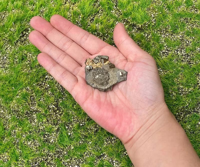 天然原礦可愛金礦區黃銅礦 招財聚財//增運勢 辦公室 風水擺件