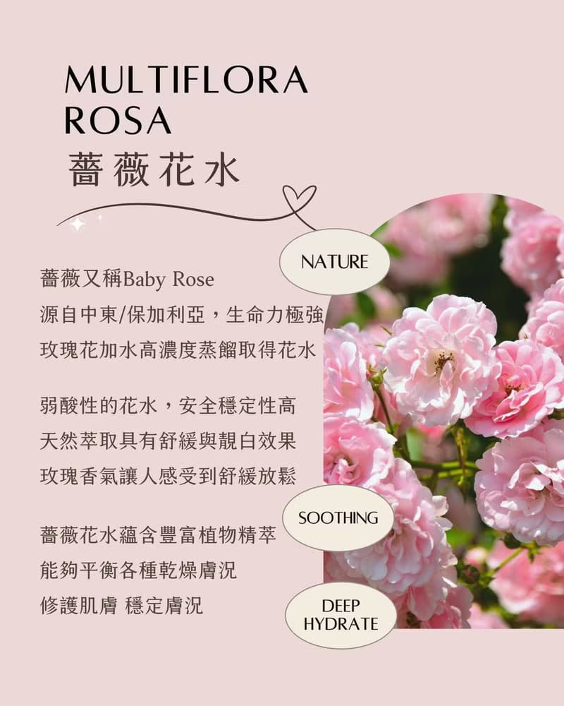【抗老緊緻】薔薇緊緻豐潤A醇保濕面膜 新配方升級8片入