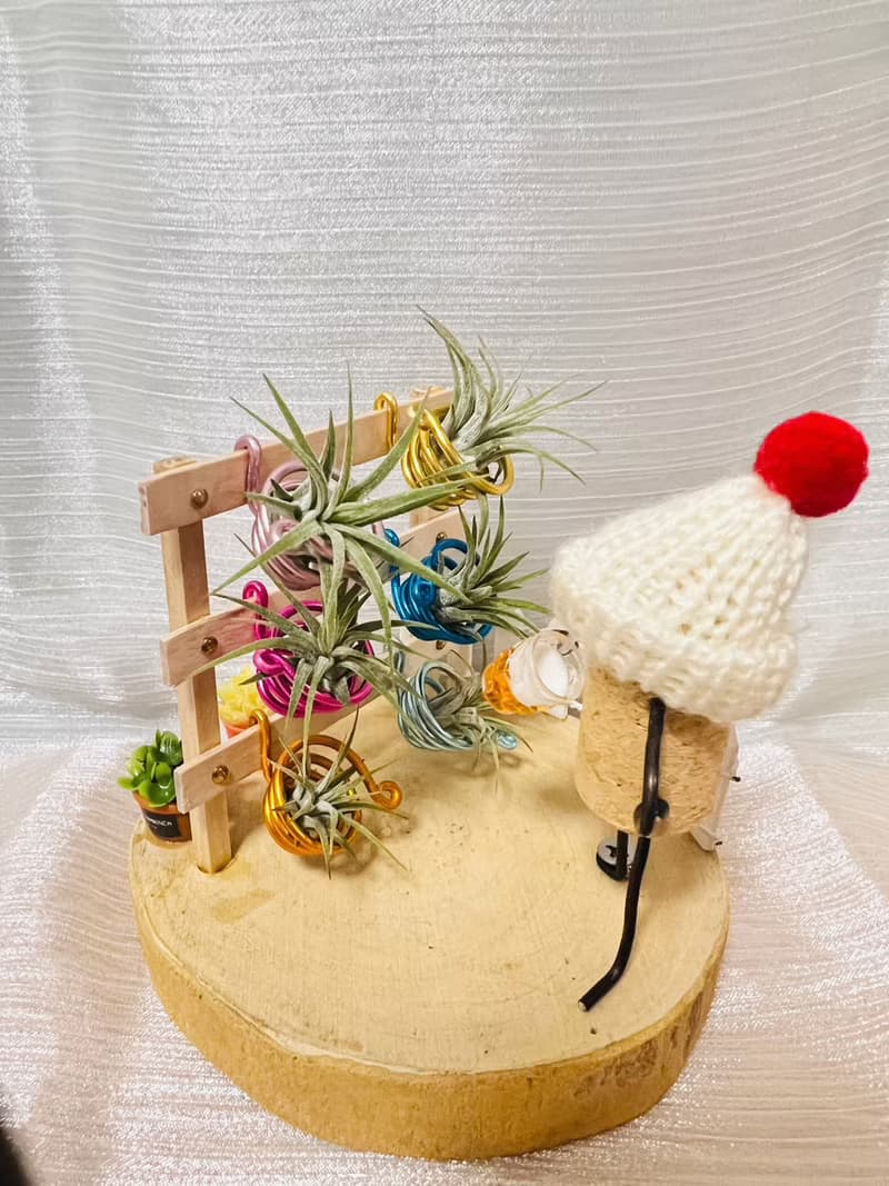 創意空鳳架  空鳳花架花園 辦公室 桌上展示架
