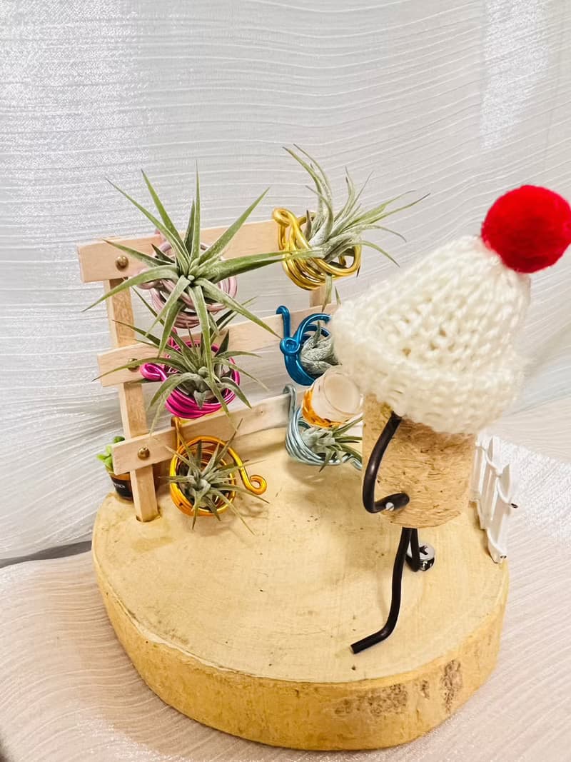 創意空鳳架  空鳳花架花園 辦公室 桌上展示架