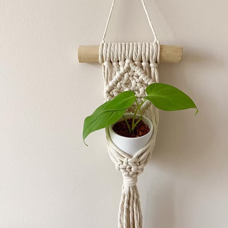 Macrame植物小掛藍