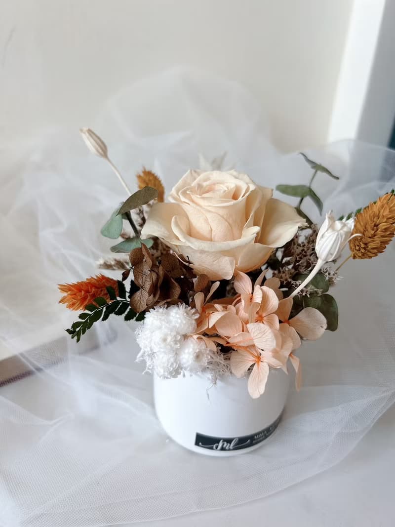 乾燥花 永生花 小盆花