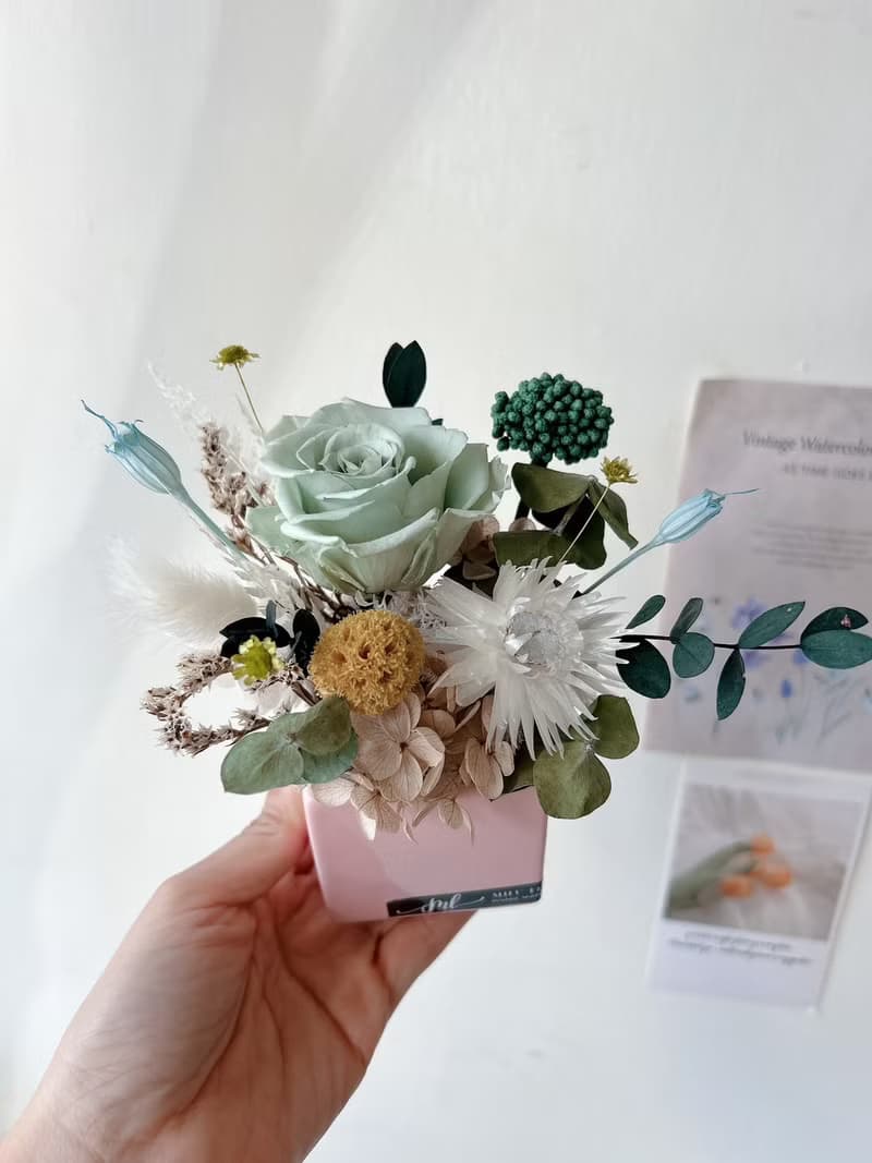 乾燥花 永生花 小盆花