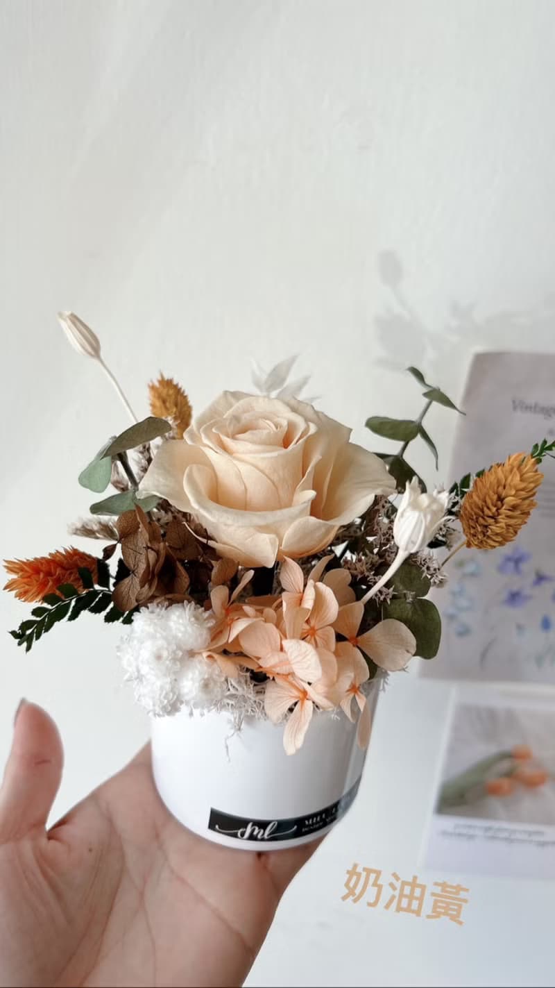 乾燥花 永生花 小盆花