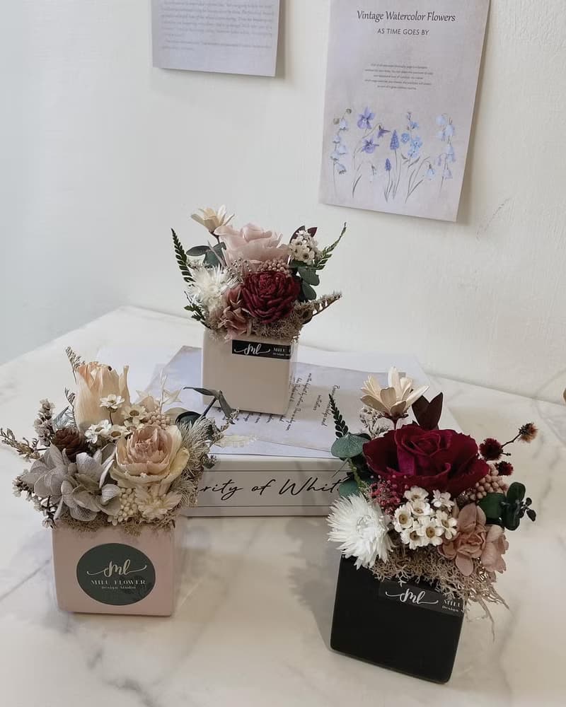 乾燥花 永生花 小盆花