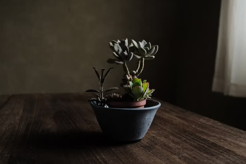 冬季的羊卓雍措・敞口花盆2