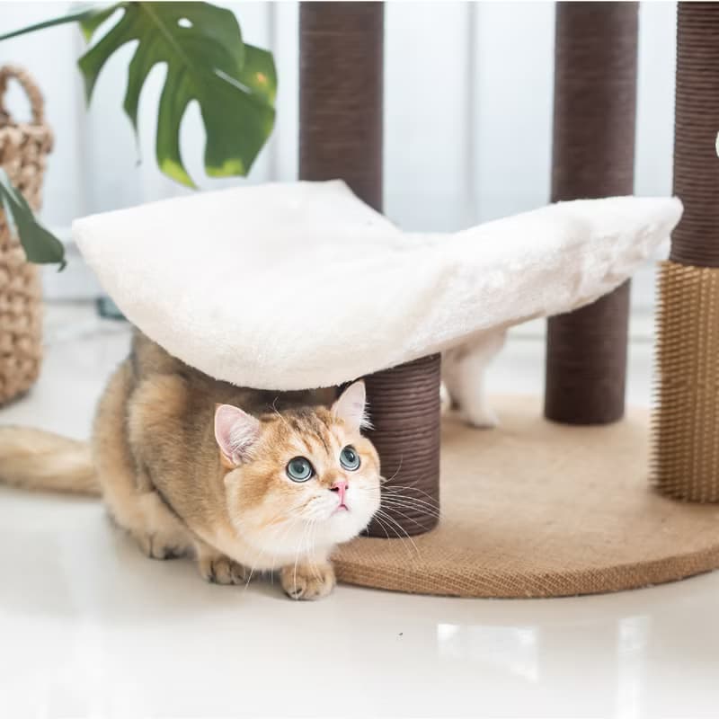 【美國Petpals】遊憩療癒貓跳台