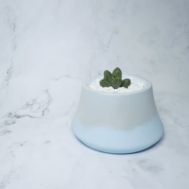 ∣銀色漸層富士山多肉造型植栽∣手作泥盆/接單訂製商品