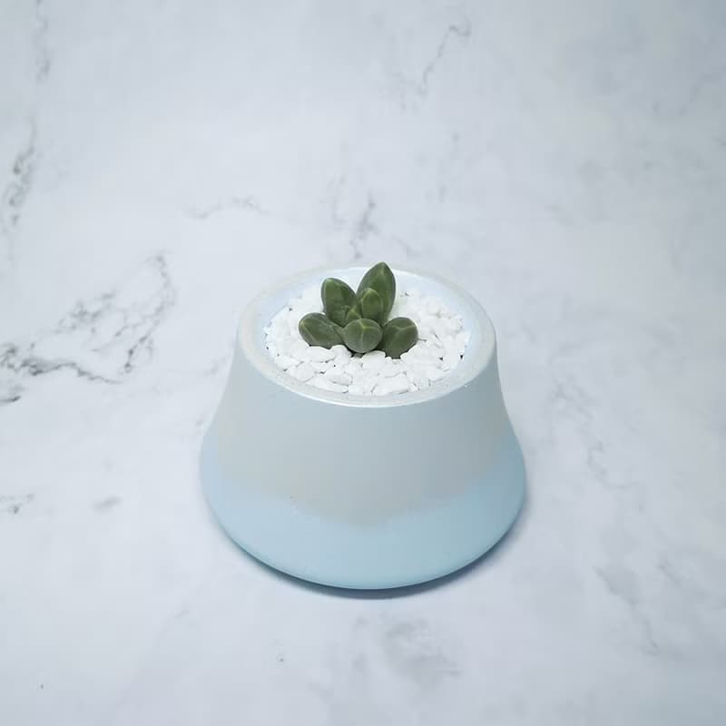 ∣銀色漸層富士山多肉造型植栽∣手作泥盆/接單訂製商品