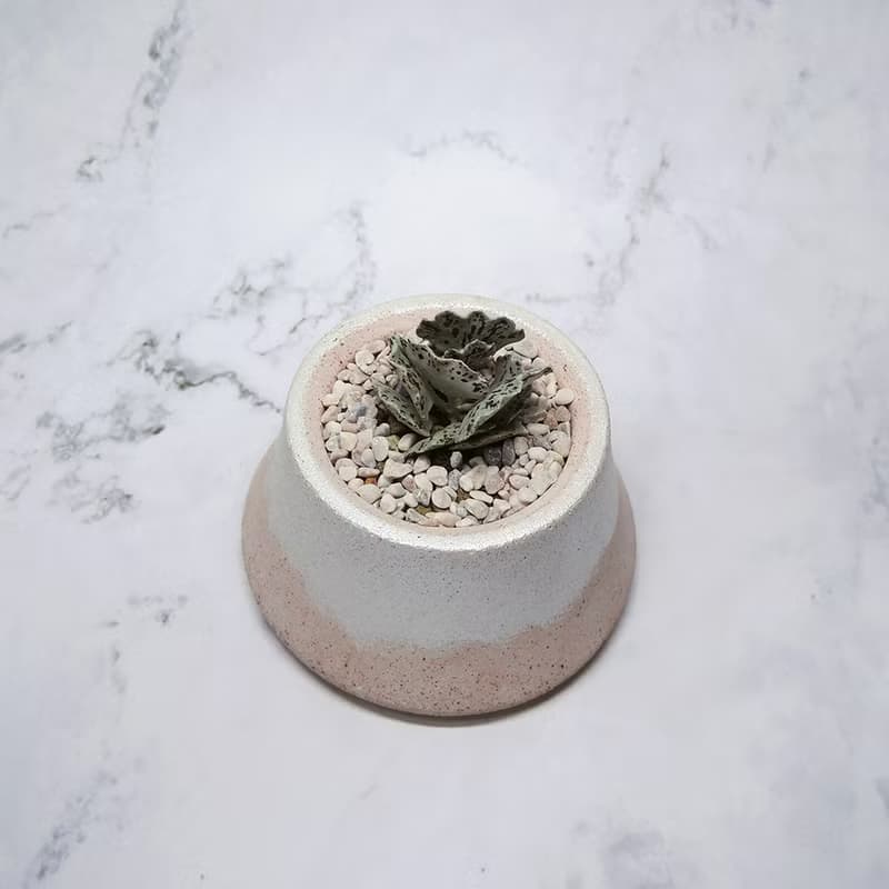 ∣銀色漸層富士山多肉造型植栽∣手作泥盆/接單訂製商品