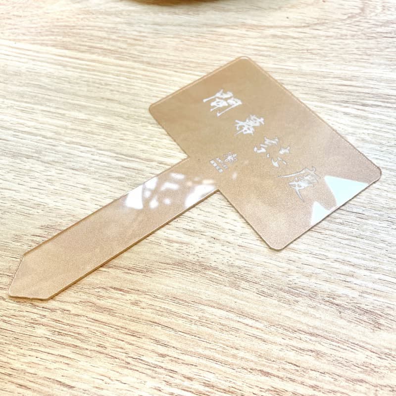 開幕賀禮、新居落成│中大型景觀植栽│琴葉榕