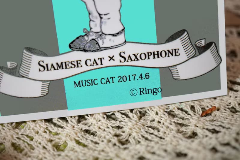 貓咪音樂家─日製動物療癒防水貼紙/小卡片/行李箱/筆電