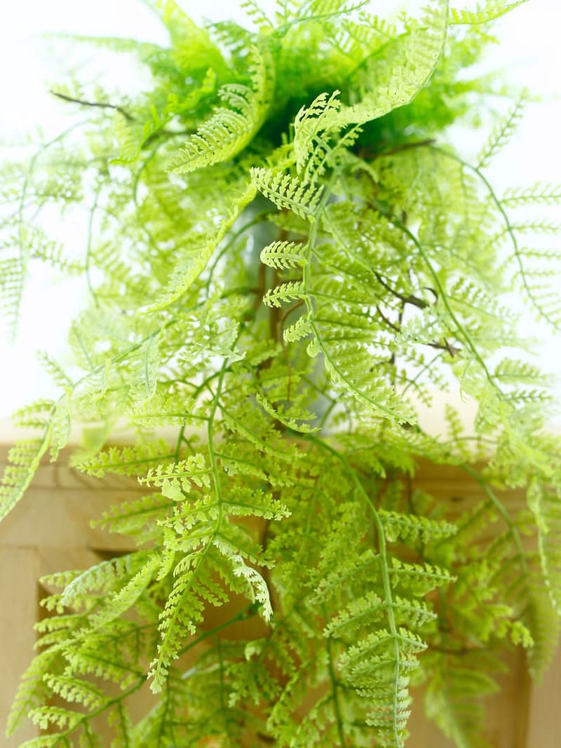 淺綠蕨草藤蔓植栽 / 環境綠化 / 擬真植栽 / 人造植栽 / 居家佈置