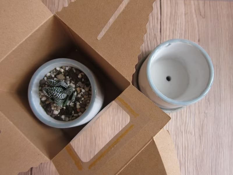 【現貨】植香系列-藍河水泥盆器(S)