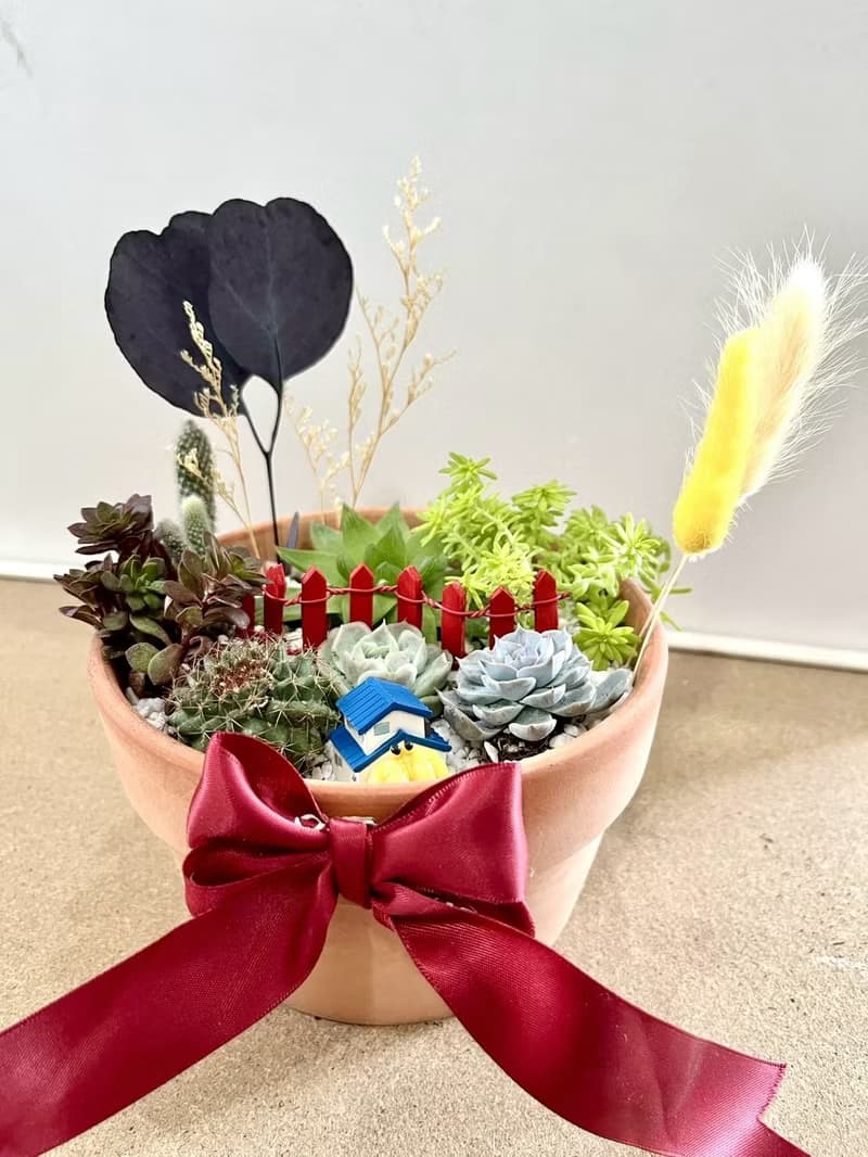 多肉組盆 多肉植物 日式枯山水 賀新居 新居落成禮 海洋生物 送禮
