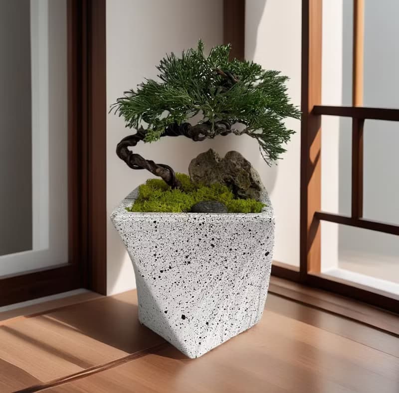 【禪風綠植】真柏造景盆栽 開幕新居喬遷升官送禮自用擺設