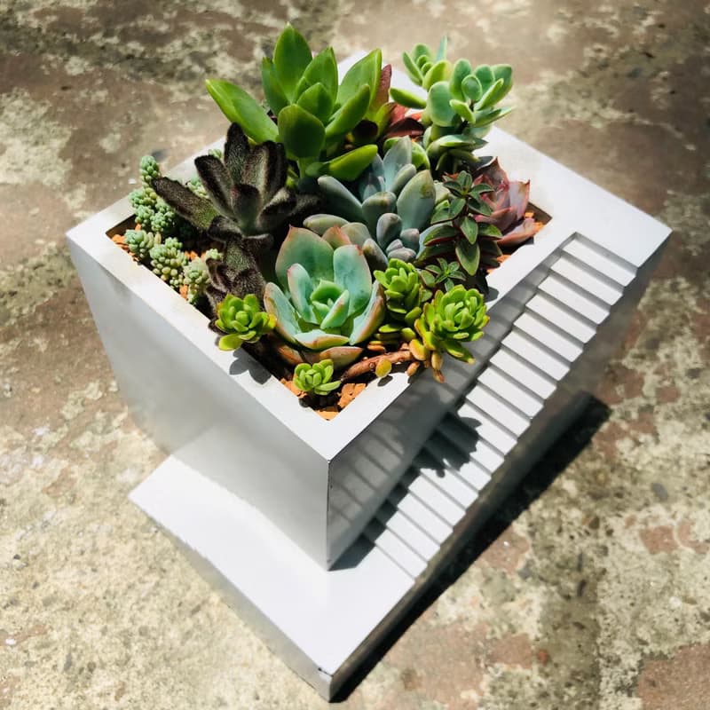 【送禮盆栽】多肉植物/純手工方形樓梯造型水泥盆2色(白/灰)