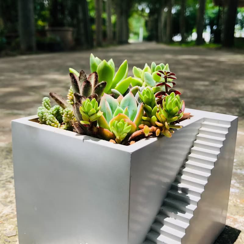 【送禮盆栽】多肉植物/純手工方形樓梯造型水泥盆2色(白/灰)