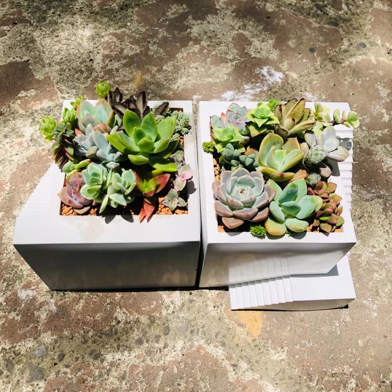 【送禮盆栽】多肉植物/純手工方形樓梯造型水泥盆2色(白/灰)