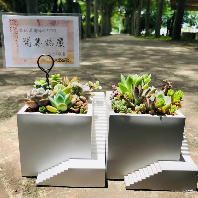 【送禮盆栽】多肉植物/純手工方形樓梯造型水泥盆2色(白/灰)