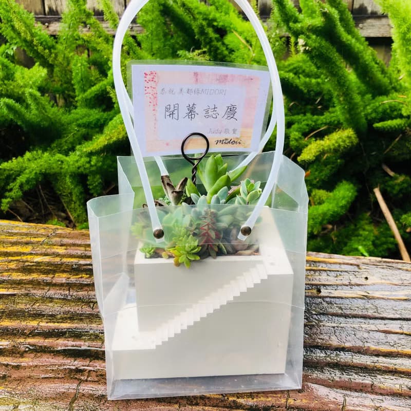 【送禮盆栽】多肉植物/純手工方形樓梯造型水泥盆2色(白/灰)