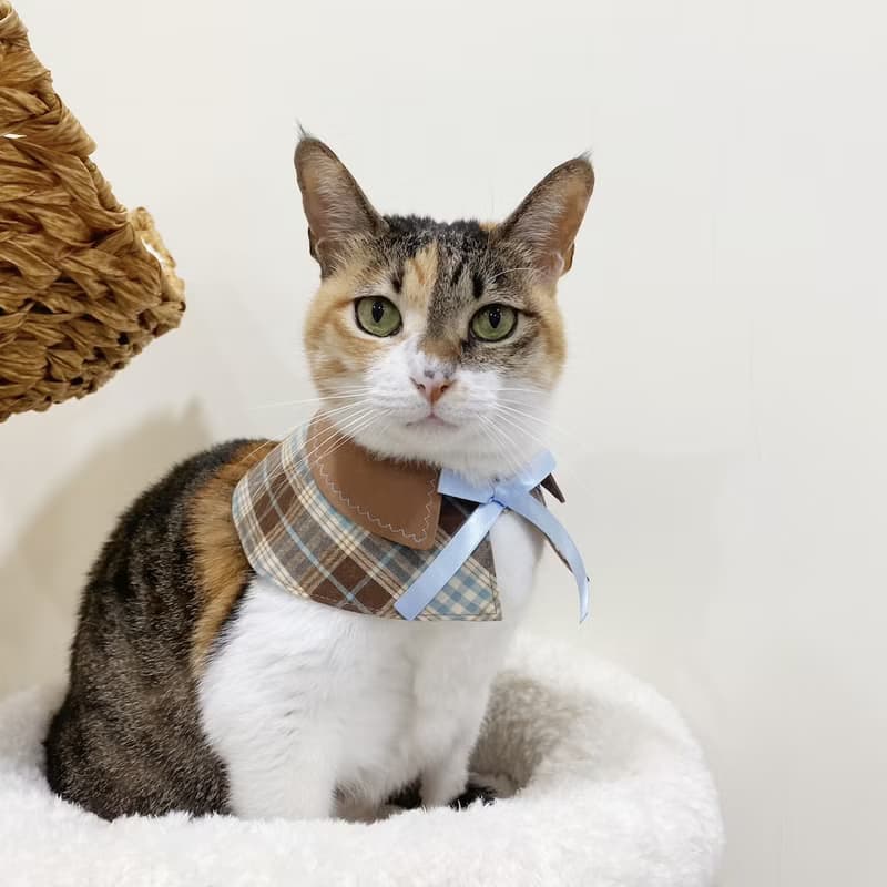 光苒手作 薄荷巧克力 寵物領巾