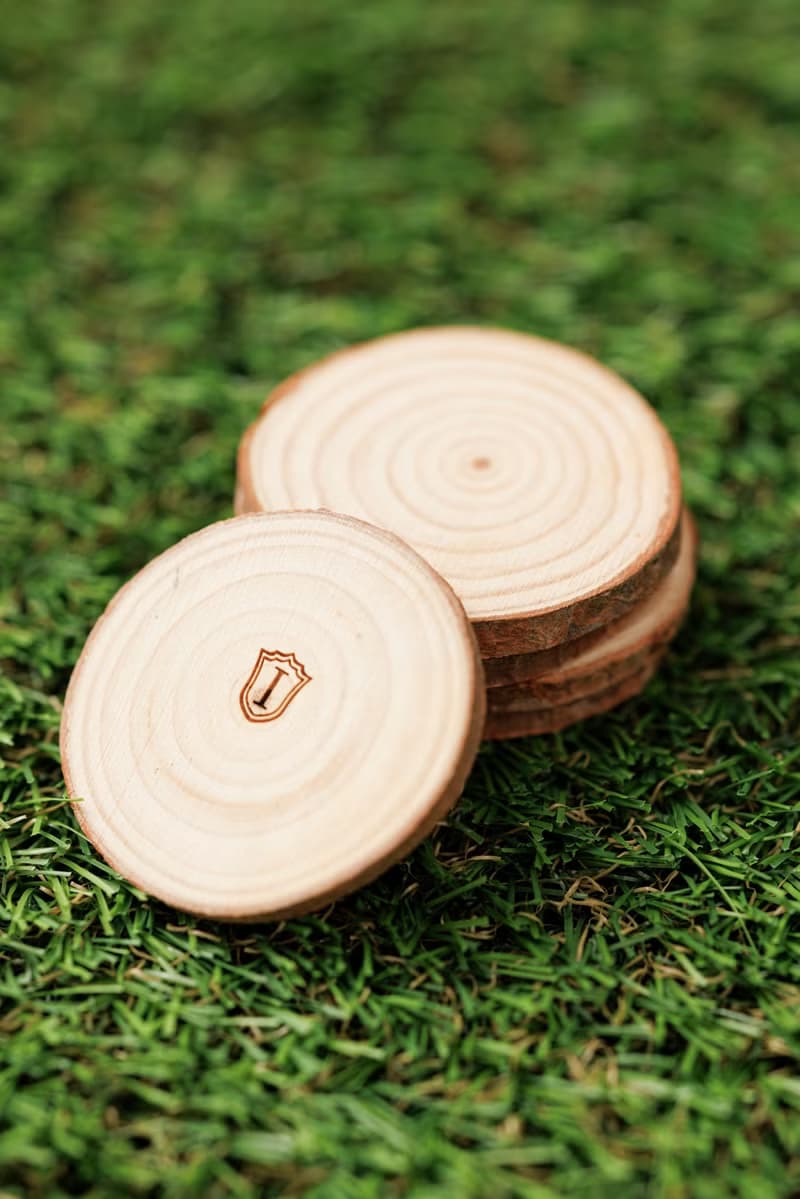 Islandoffer島嶼製作 松木年輪杯墊 木系餐具裝飾(中) 5件 (一套)