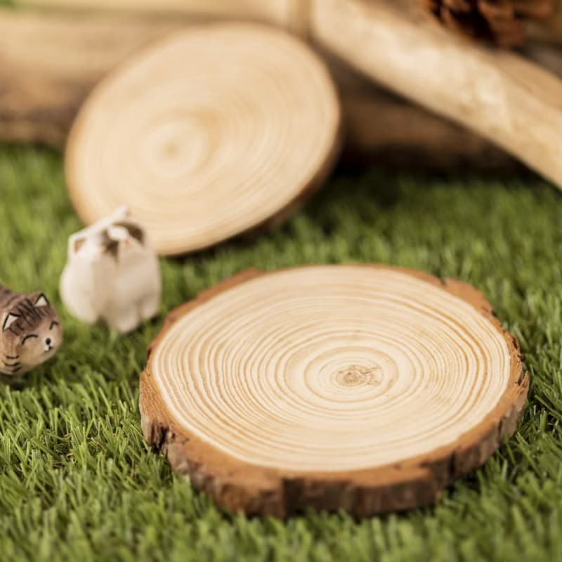 Islandoffer島嶼製作 松木年輪杯墊 木系餐具裝飾(中) 5件 (一套)