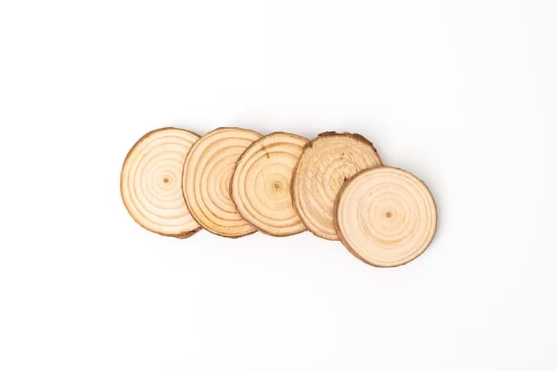 Islandoffer島嶼製作 松木年輪杯墊 木系餐具裝飾(中) 5件 (一套)