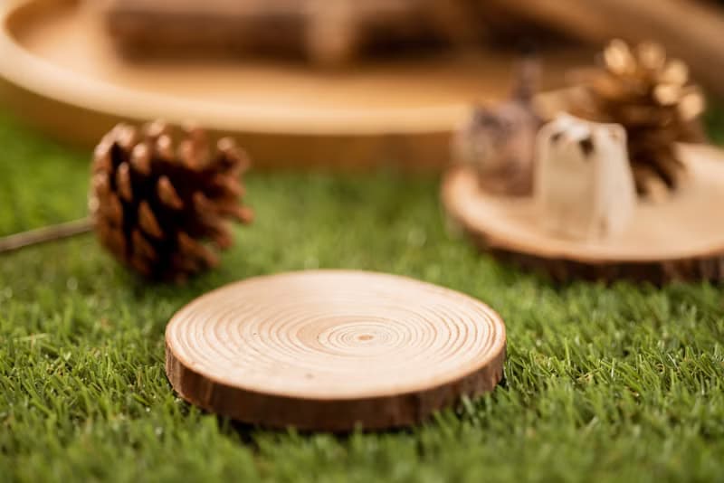 Islandoffer島嶼製作 松木年輪杯墊 木系餐具裝飾(中) 5件 (一套)