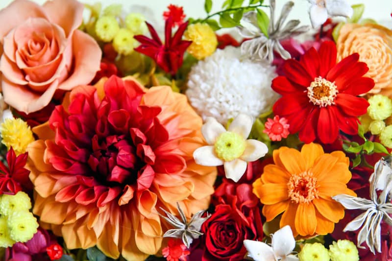 Dahlia Flower Box │大理花富貴花盒