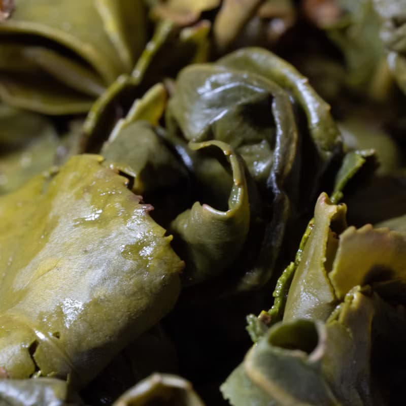 【伊松坊】95K大禹嶺茶-【2025】【冬】