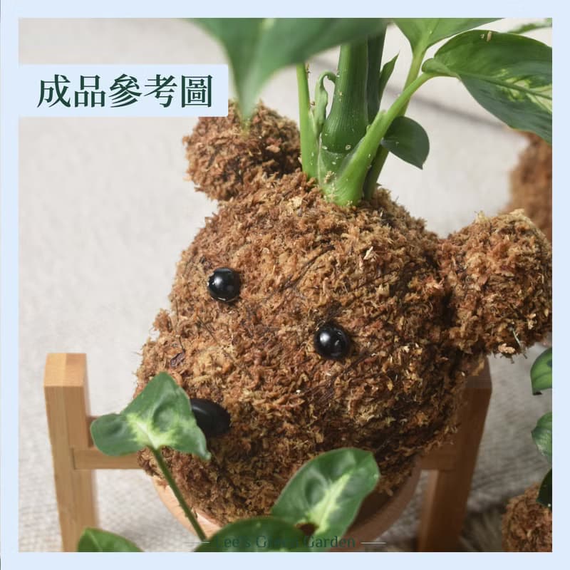 李的綠意花園 熊熊苔球材料包 水苔球 苔球 手做材料包 親子活動