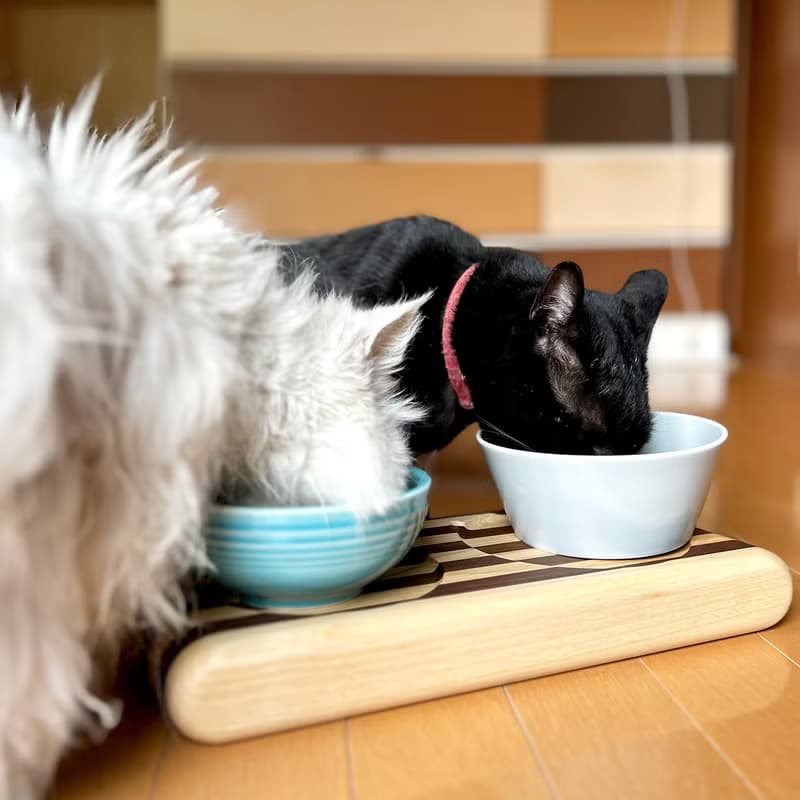 KATOMOKU 貓咪桌/為2件 橡木 日本製造　喂食碗