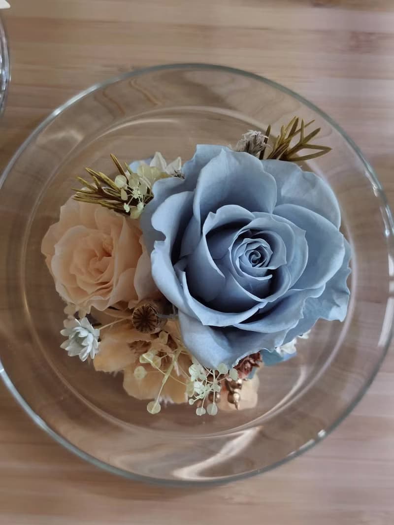 冬陽 永生花玻璃罩.花盅 祝賀花禮 生日.情人節.母親節.畢業