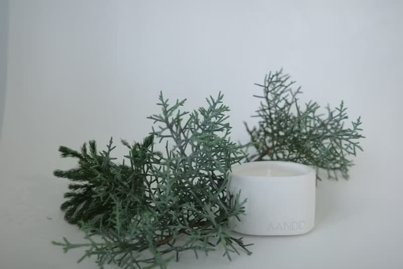The Pond Candle | 冷杉森林 | 手工水泥香氛蠟燭